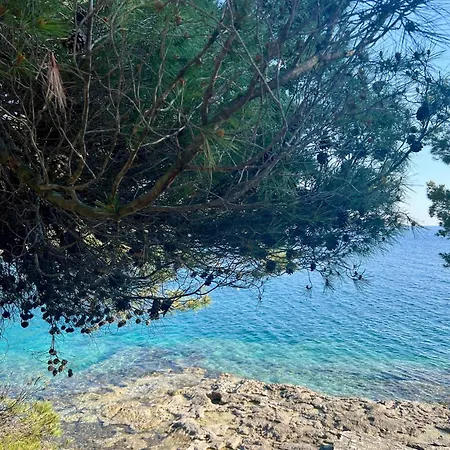 Апартаменты Pearl